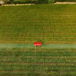 Calabria, oltre 55 milioni liquidati di euro agli agricoltori da Arcea