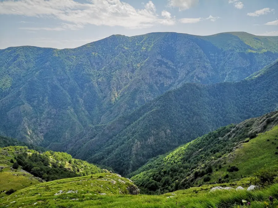 Il Parco Nazionale dell'Aspromonte: guida alle escursioni, ai borghi abbandonati e alla natura calabrese