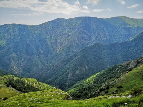 Il Parco Nazionale dell'Aspromonte: guida alle escursioni, ai borghi abbandonati e alla natura calabrese