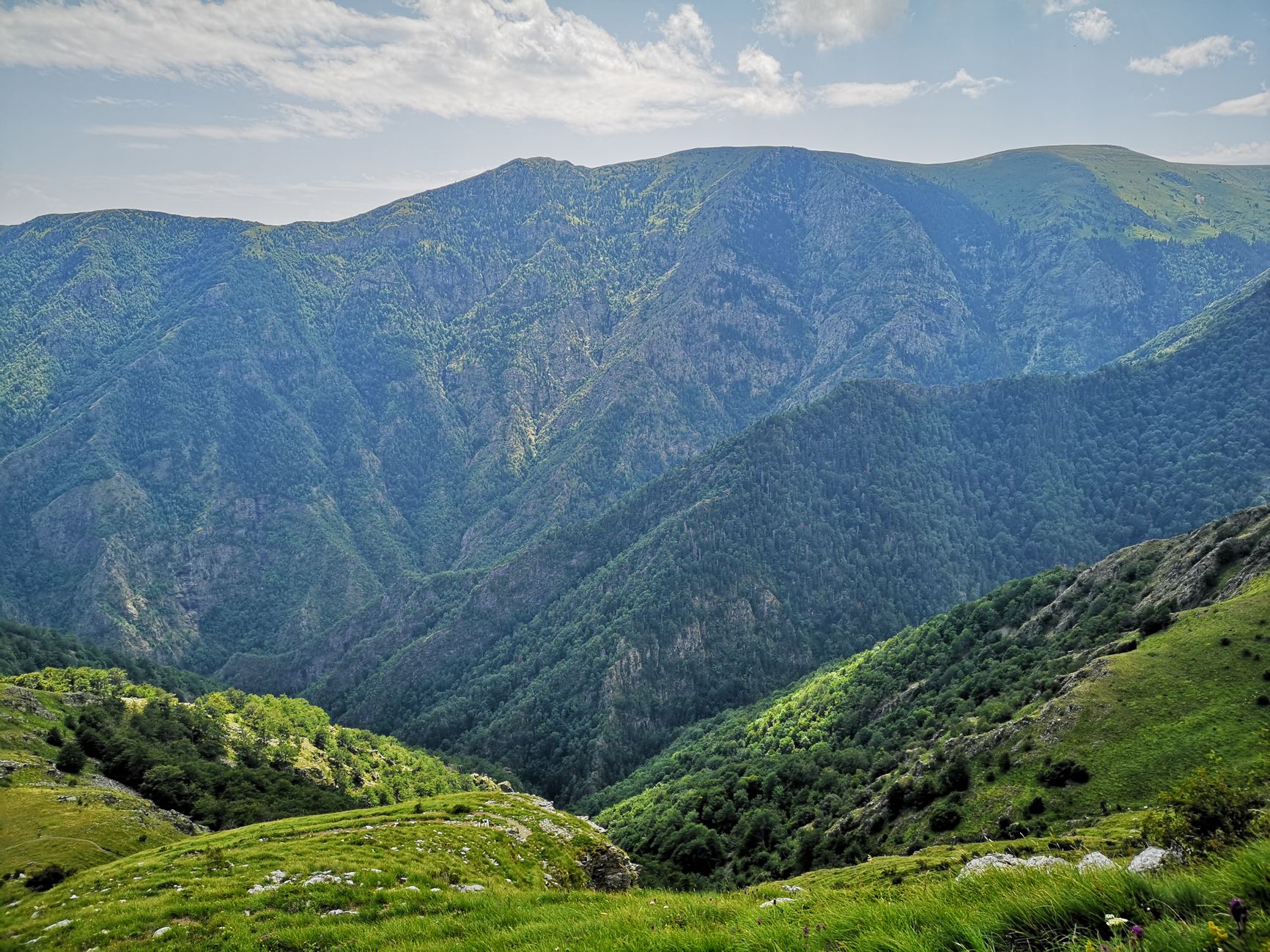 Il Parco Nazionale dell'Aspromonte: guida alle escursioni, ai borghi abbandonati e alla natura calabrese