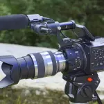 Legalità digitale, nasce in Calabria il Cybercrime Film Festival