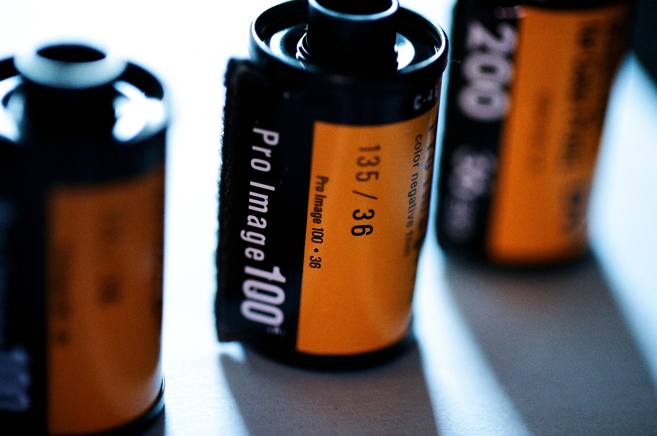 Calabria Film Commission, avviso per revisore dei conti: candidature entro 20 giorni