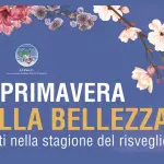 “PrimaVera Arte”: a Reggio Calabria una retrospettiva sulla contemporaneità tra memoria e ricerca